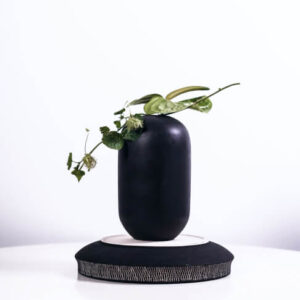 Small Black Vase
